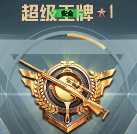 和平精英辅助【神龙直装】原名虎爪直装