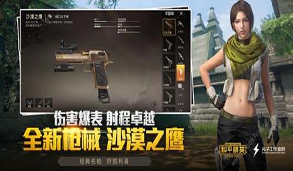 和平精英老鹰辅助发卡网