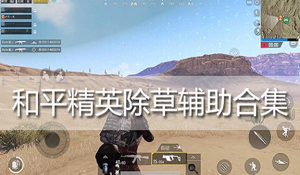 和平精英仙人辅助怎么用