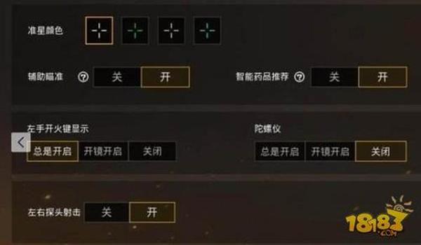 和平精英辅助一般在哪设置