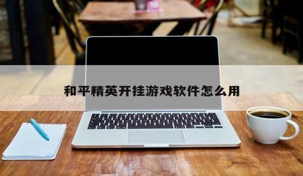 和平精英双辅助阵容排行
