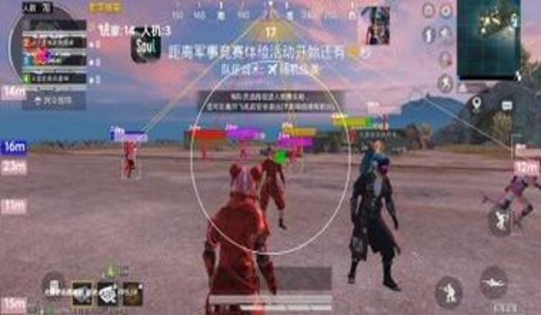 和平精英心柔辅助 xs