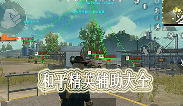 和平精英神盾局辅助发卡