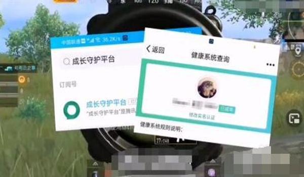 和平精英实名认证辅助器