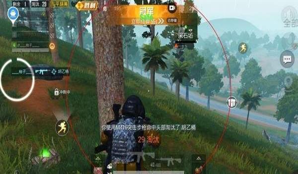 苍龙辅助软件和平精英