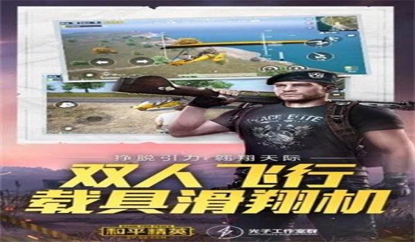 和平精英主播专用定制辅助