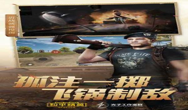 和平精英大黄蜂辅助卡密