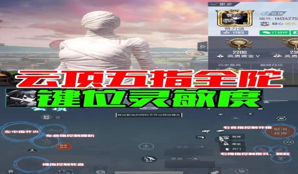 和平精英平板全陀辅助