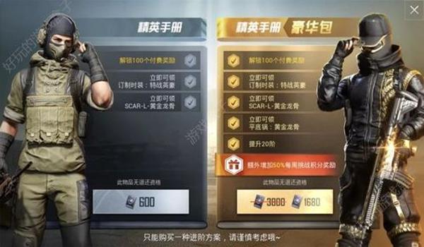 和平精英孤勇者直装辅助