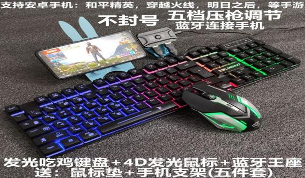 和平精英缤纷辅助怎么用