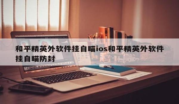 和平精英浏览器辅助软件