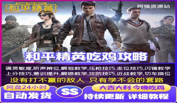 和平精英官方辅助云盘