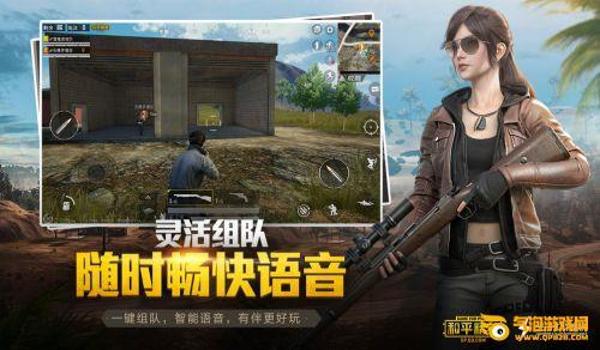 和平精英神盾局破解辅助